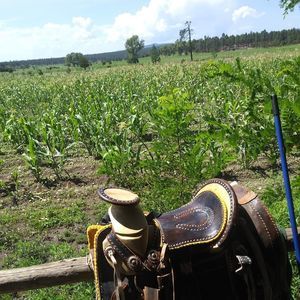 Meet your Posher, Miguel